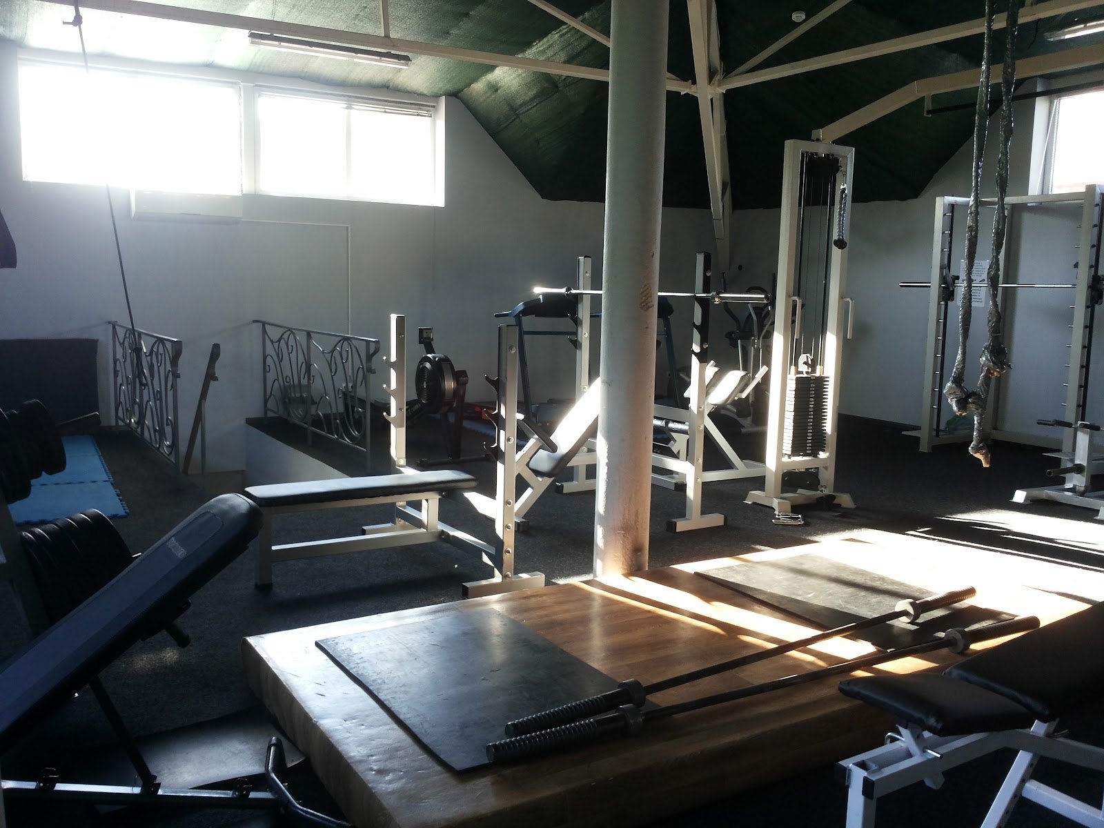 LeoFit