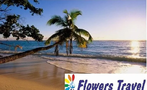 Flawers Travel