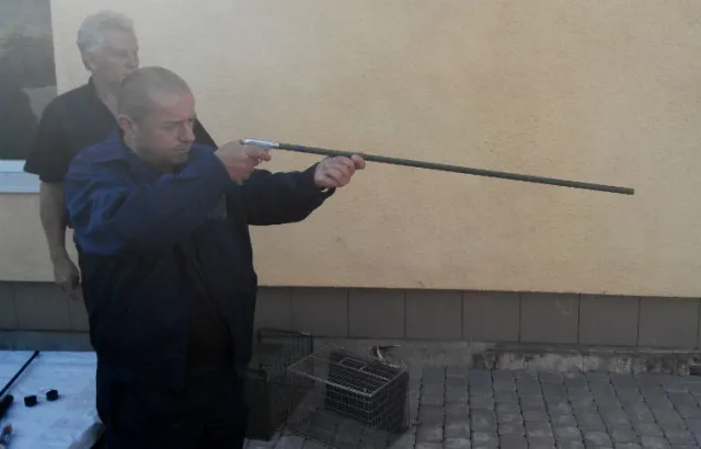 У Львові догляд за бездомними собаками виходить на новий рівень (фото) — фото 6