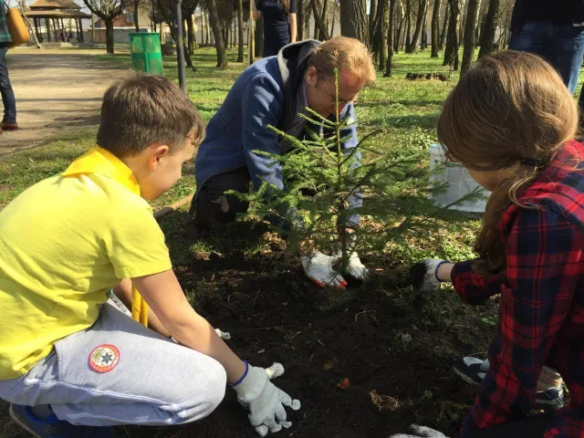 Дерево на 1 день або чому обурена Левандівка — фото 2