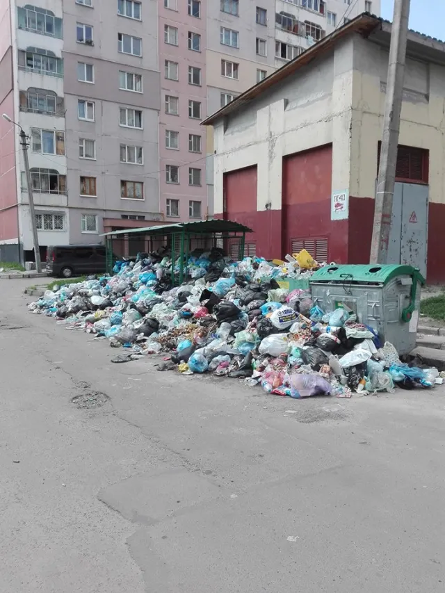 Рятувати місто від щурів зобов’язали… перевізників — фото 3